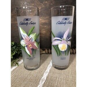 Vintage Pair of 2 Celebrity Cruises 7" Orchid Frosted Highball Glasses Tumblers